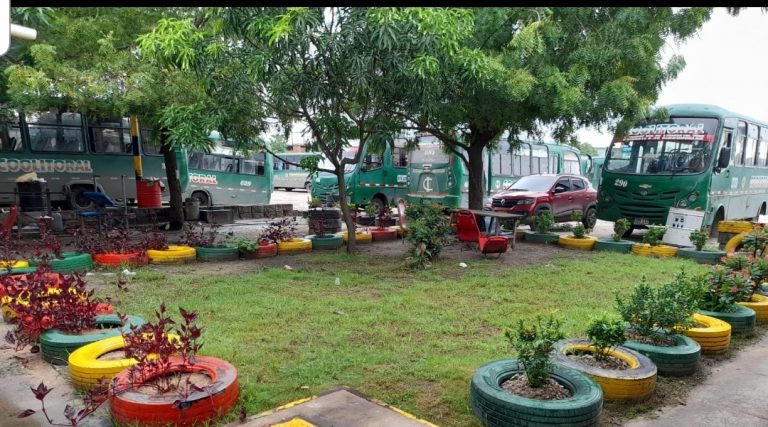 PROMOVEMOS ZONAS VERDES (2)